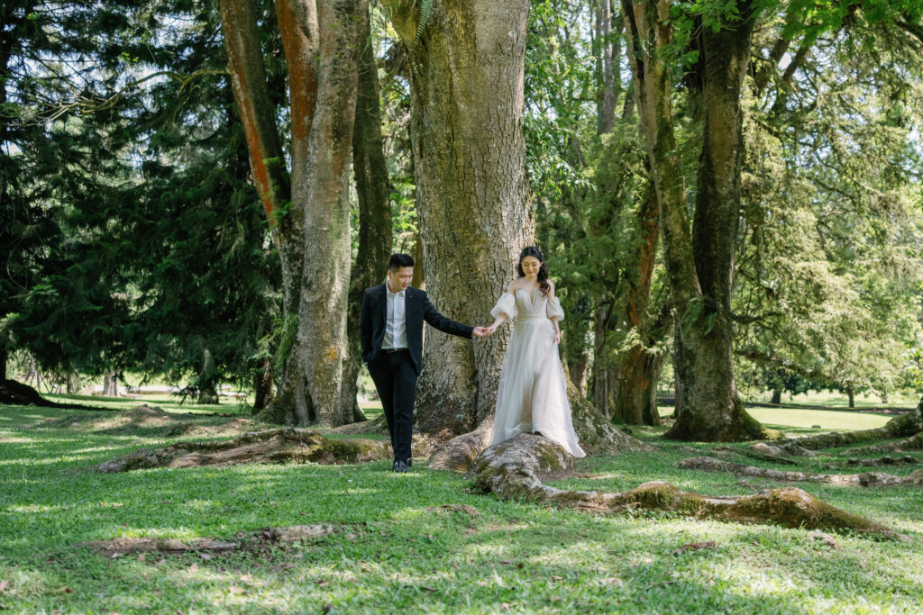 bali couple photoshoot bedugul forest candid