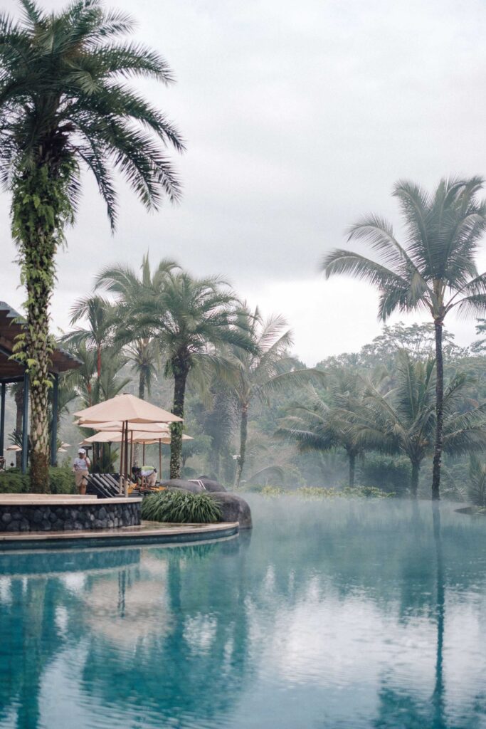 Padma Resort Ubud infinity pool in morning fog — Ayung River valley jungle wedding venue Bali